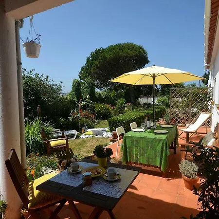Happy Cat House - Holiday Rental Sao Martinho do Porto Exterior photo