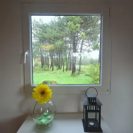 Happy Cat House - Holiday Rental Sao Martinho do Porto Exterior photo