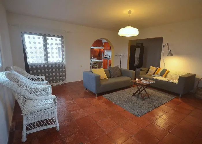 Happy Cat House - Holiday Rental